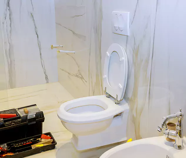 Get to Know Palm Beach Plumbing Pro in West Palm Beach, FL