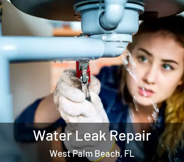  Water Leak Repair West Palm Beach, FL